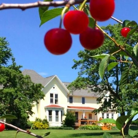 Country Hermitage Bed & Breakfast Экми Экстерьер фото